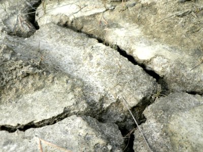 Cracks In Dry Mud