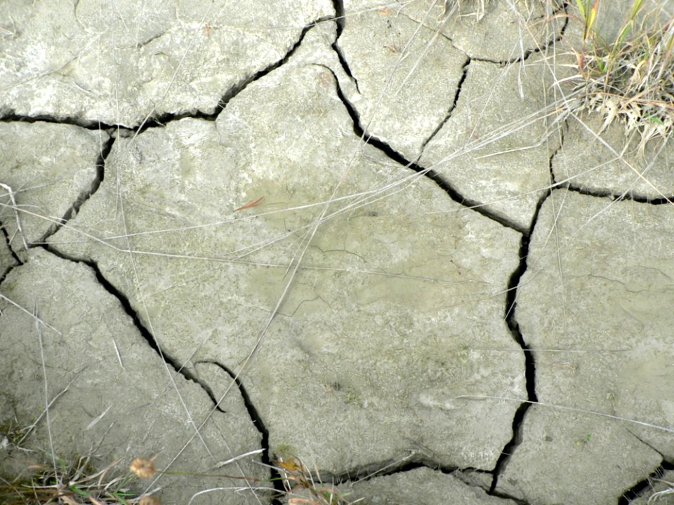 Cracks In Dry Mud 2