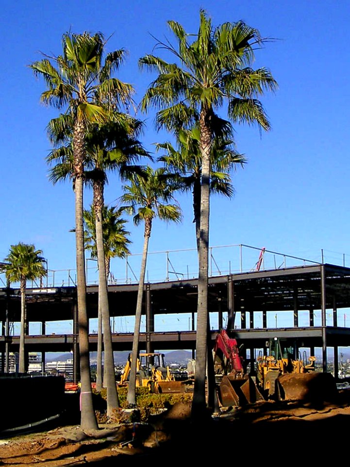 Construction Site