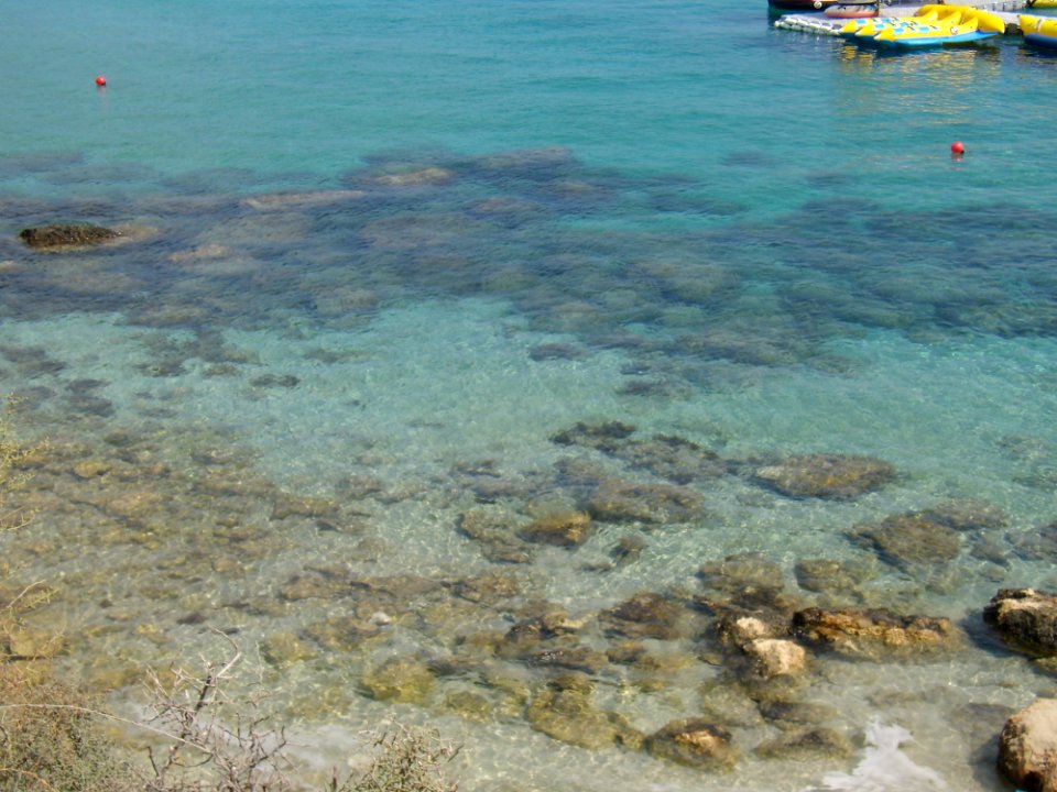 Coast