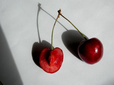 Cherry 24
