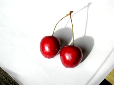 Cherry 19