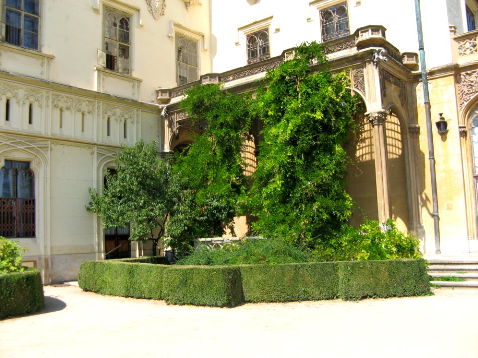 Castle And Flowers