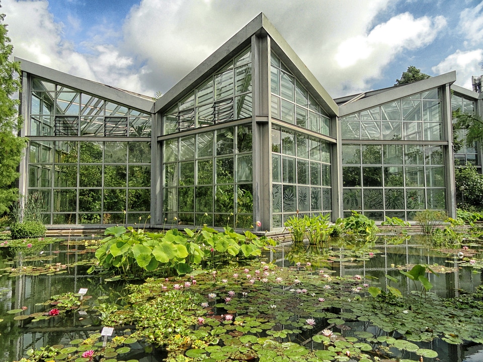 Pond water reflections photo