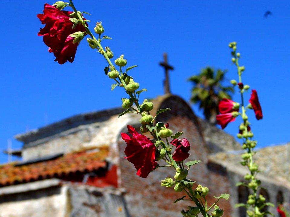 California Missions 2