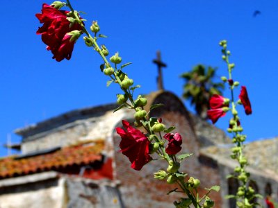 California Missions 2