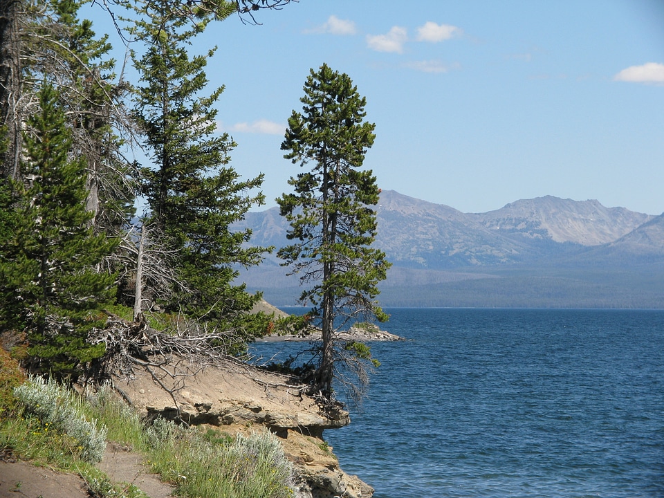 Water lake landscape
