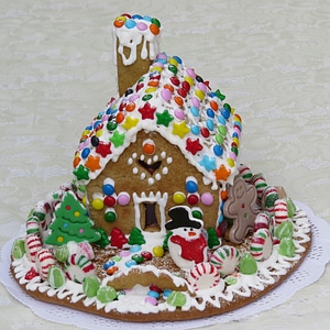 Christmas alegre celebration