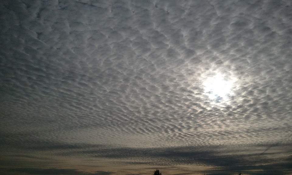 White grey cloudscape