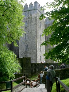 Bunratty Castle 2