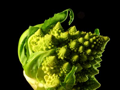 Broccoli