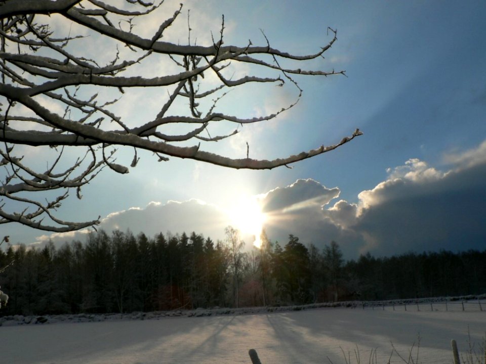 Breaking The Clouds On Winter Day