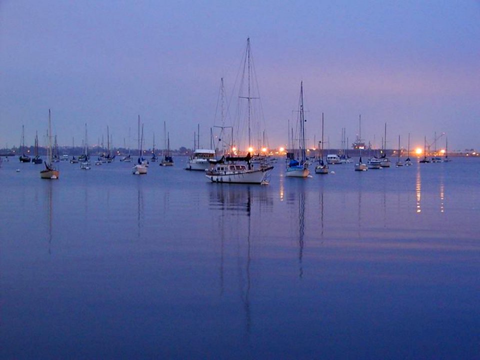 Boats In The Bay