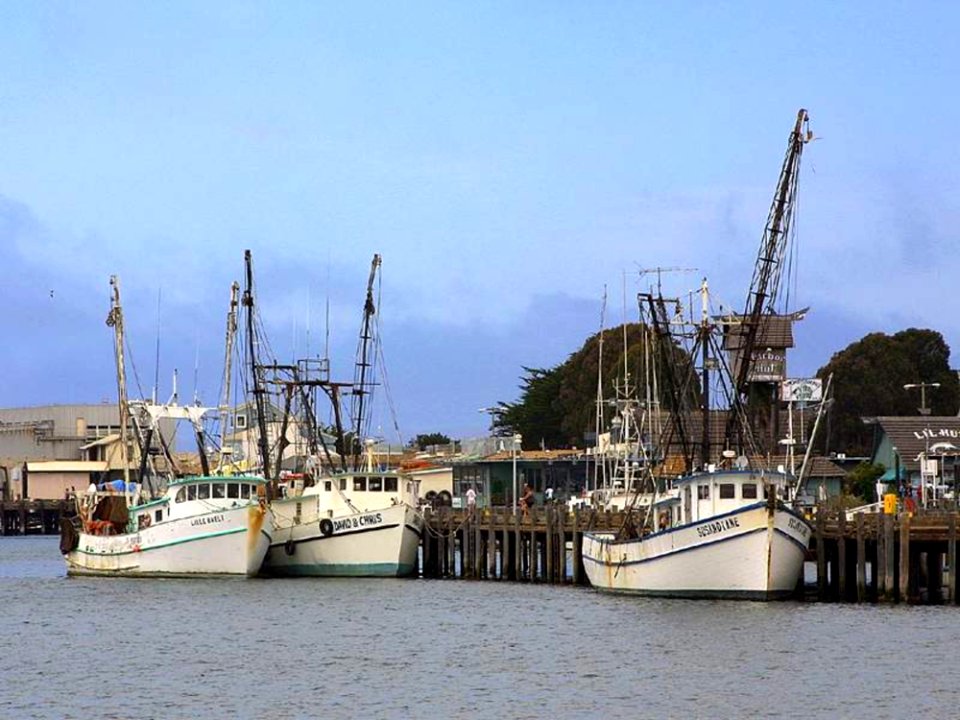 Boats 4