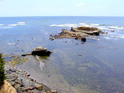 Bird Rock