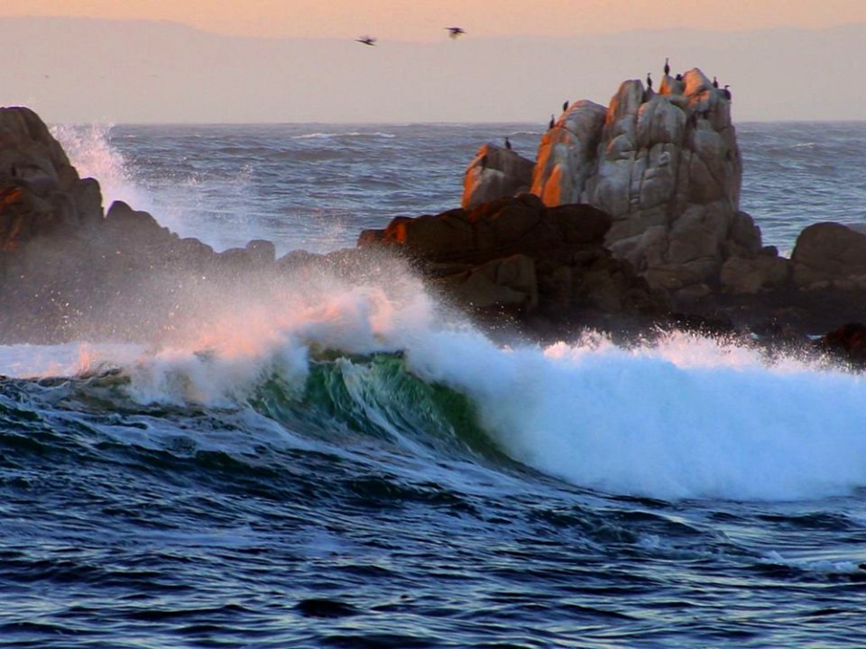 Asilomar Beach 2