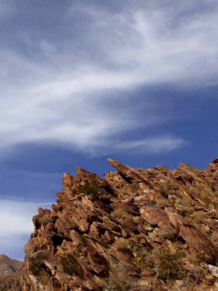 Anza Borrego Desert