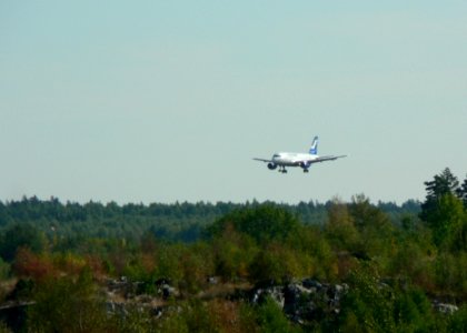 Airplane Landing Over Woods photo