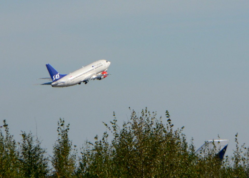 Aircraft Over Wood