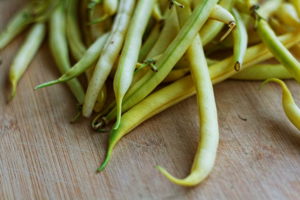 Green Kentucky Beans