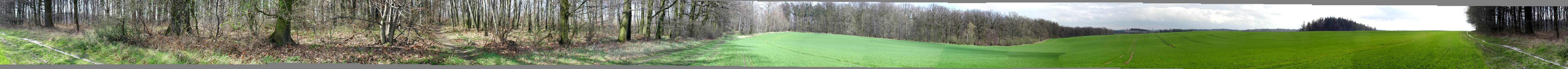 360 Degrees Panorama