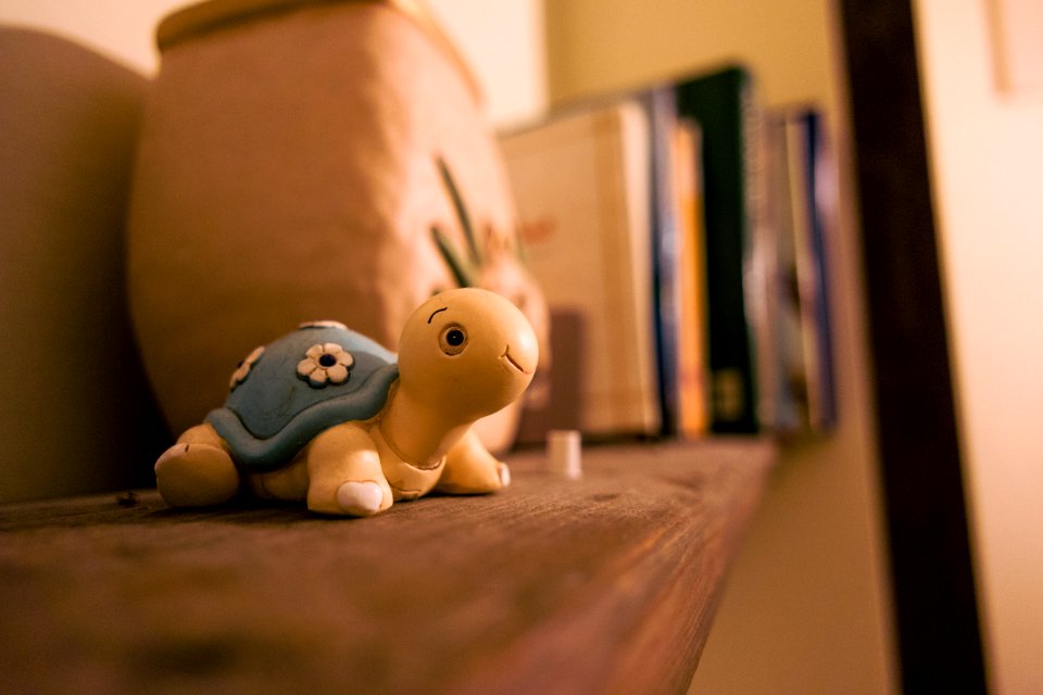 Turtle Toy On Shelf