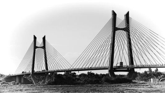 Suspension Bridge photo