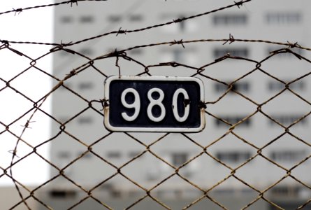 Barbed Wire With Number Plate photo