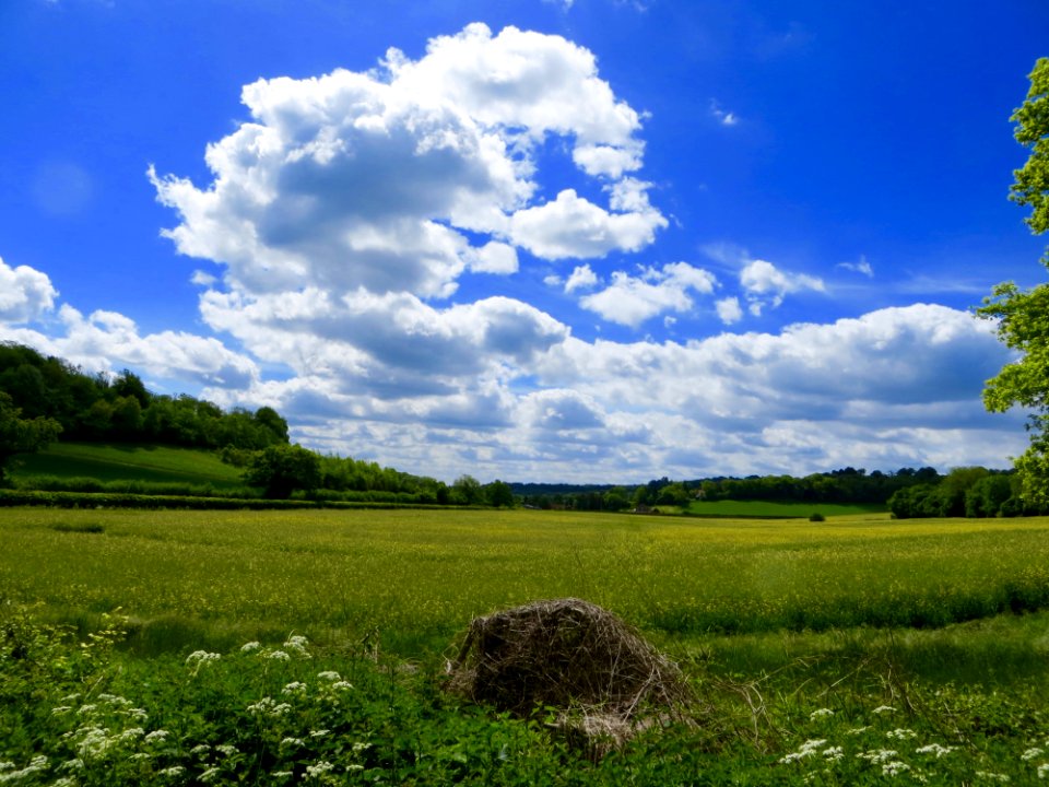 Green Fields And Blue Skies