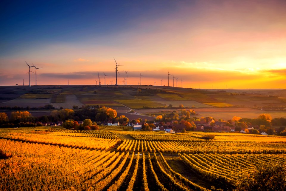 Scenic View Of Agricultural Field Against Sky During Sunset