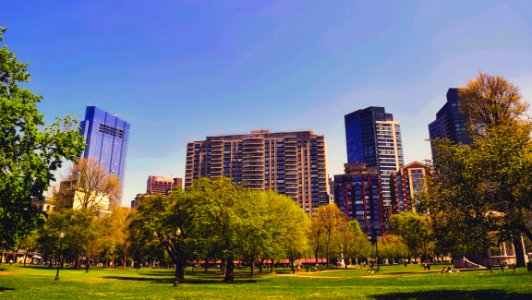 Park And Modern Buildings