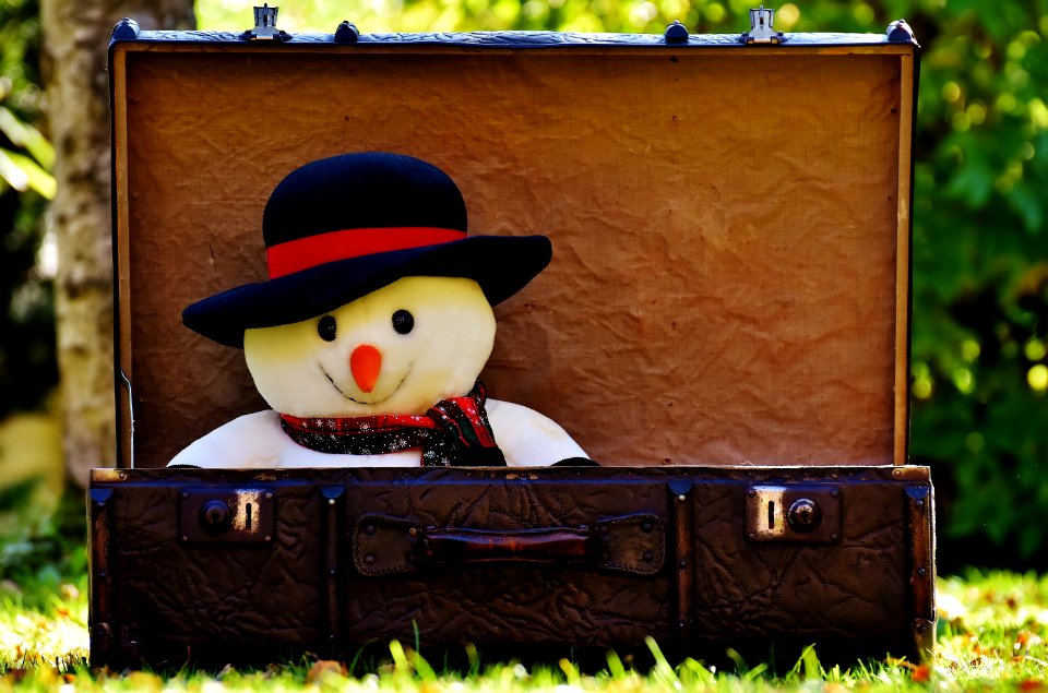 Snowman Plush Toy In Suitcase