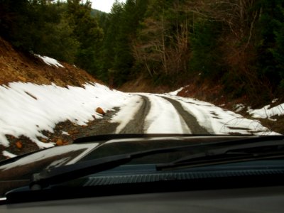 Land Vehicle Motor Vehicle Car Automotive Tire