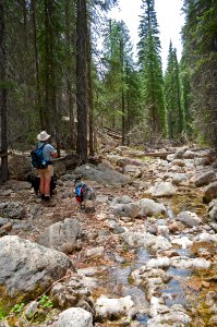 West Fork Of Oak Creek