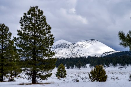 Winter In Bonito Park photo