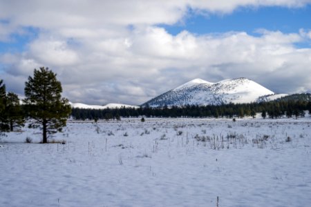 Winter In Bonito Park
