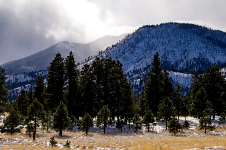 White Christmas