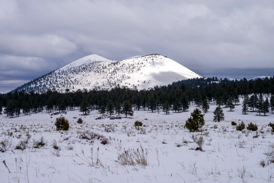 Winter In Bonito Park