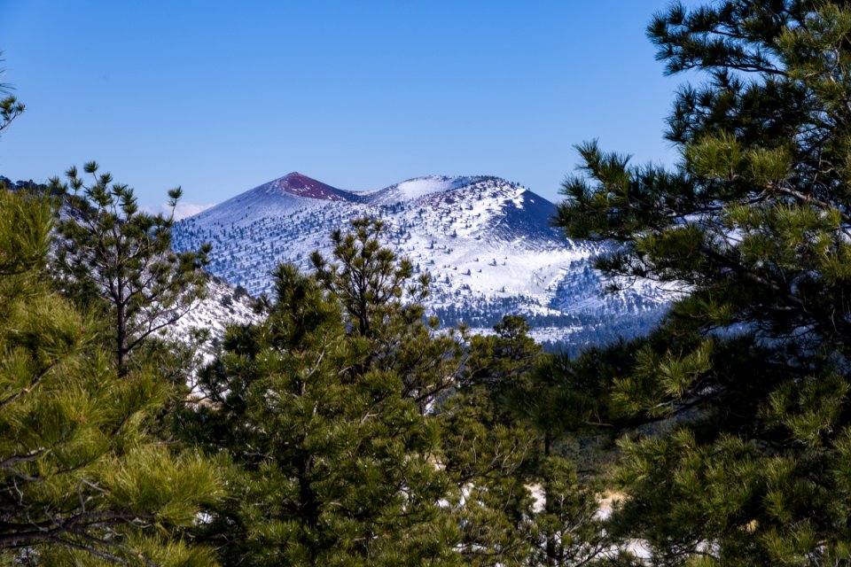 White Christmas