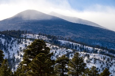 White Christmas
