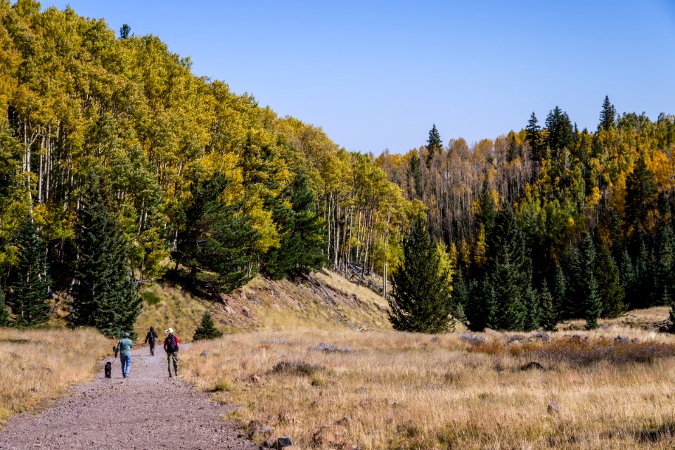 Inner Basin Trail No 29
