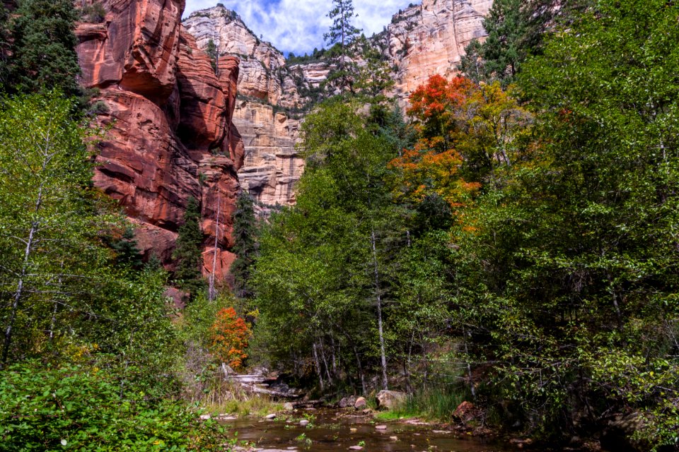 West Fork Of Oak Creek Canyon No 108