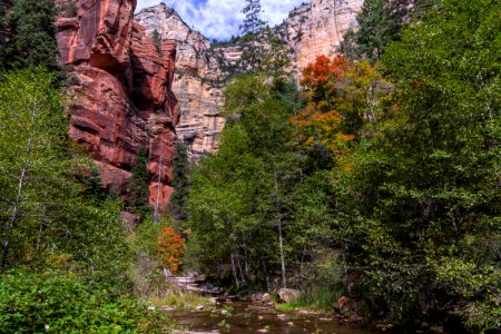 West Fork Of Oak Creek Canyon No 108