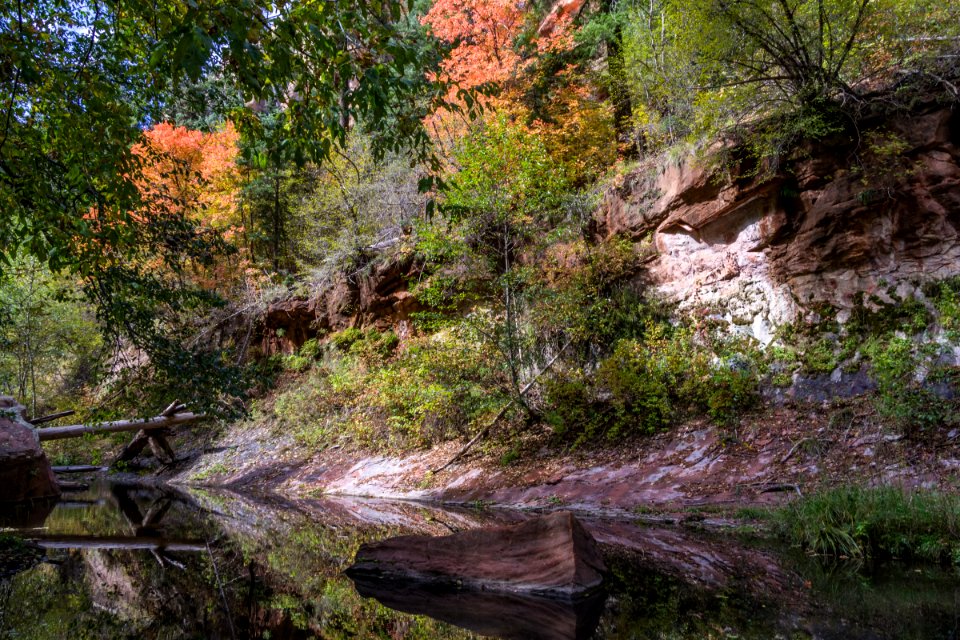 West Fork Of Oak Creek Canyon No 108