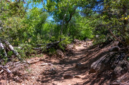 Waterfall Trail On Fossil Creek