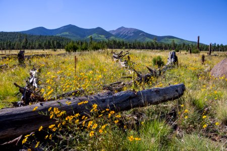Around The Peaks Loop FR 418