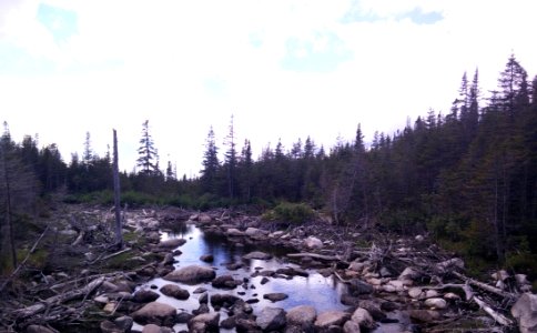 011 - Parc National De La Gaspsie  Lac Aux Amricains