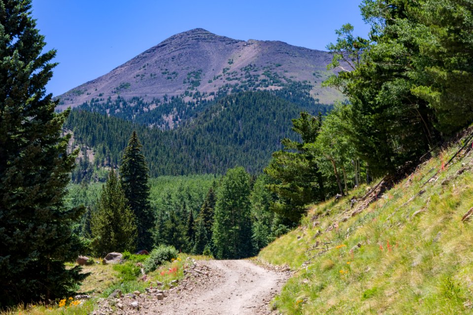 Inner Basin Trail No 29