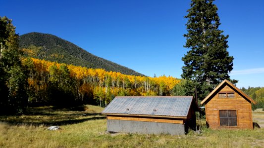 Inner Basin Of The San Francisco Peaks