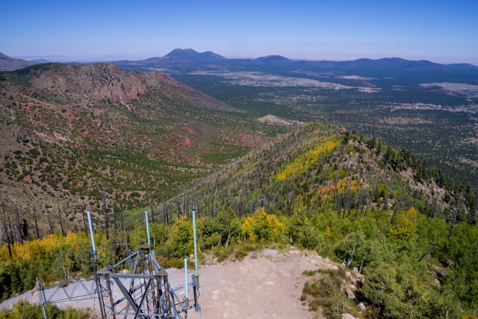 Elden Lookout Tower